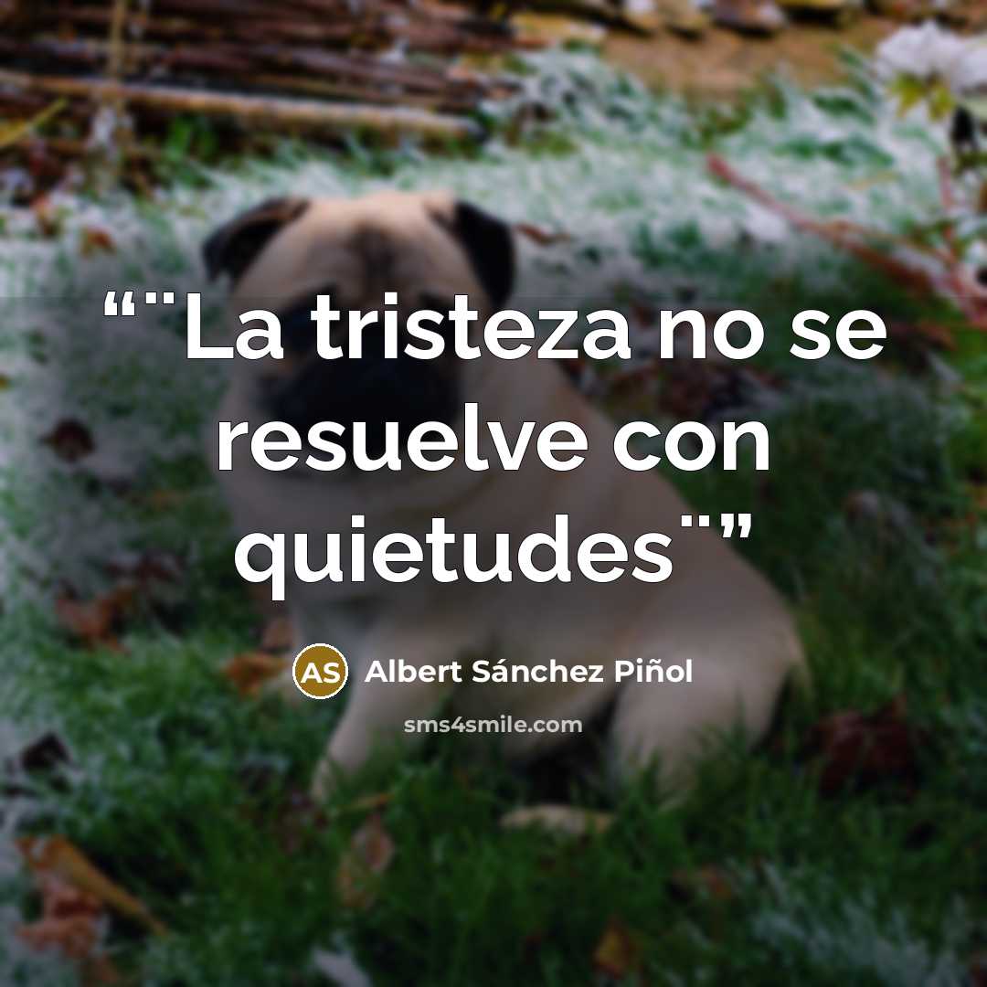 “¨La tristeza no se resuelve con quietudes¨” quote by Albert Sánchez Piñol