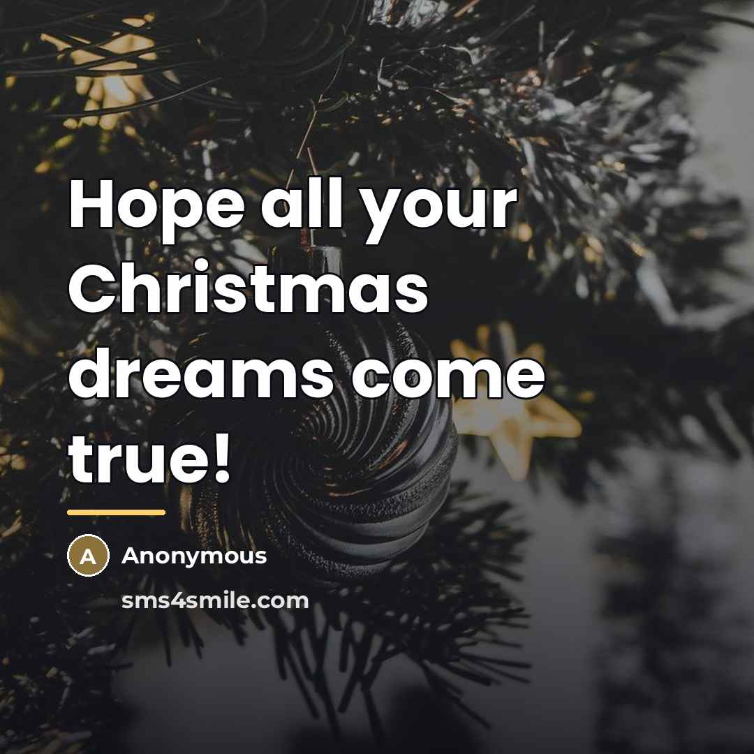 “Hope all your Christmas dreams come true!…” quote by Anonymous
