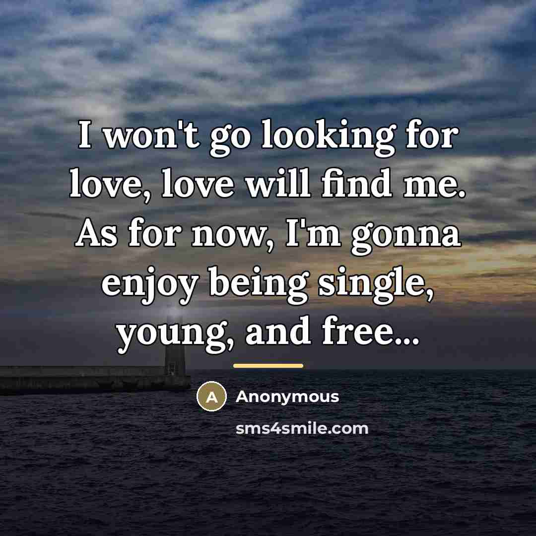 “I won't go looking for love, love will find me.…” quote by Anonymous