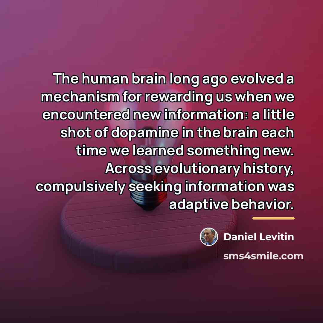 “The human brain long ago evolved a mechanism for rewarding…” quote by Daniel Levitin