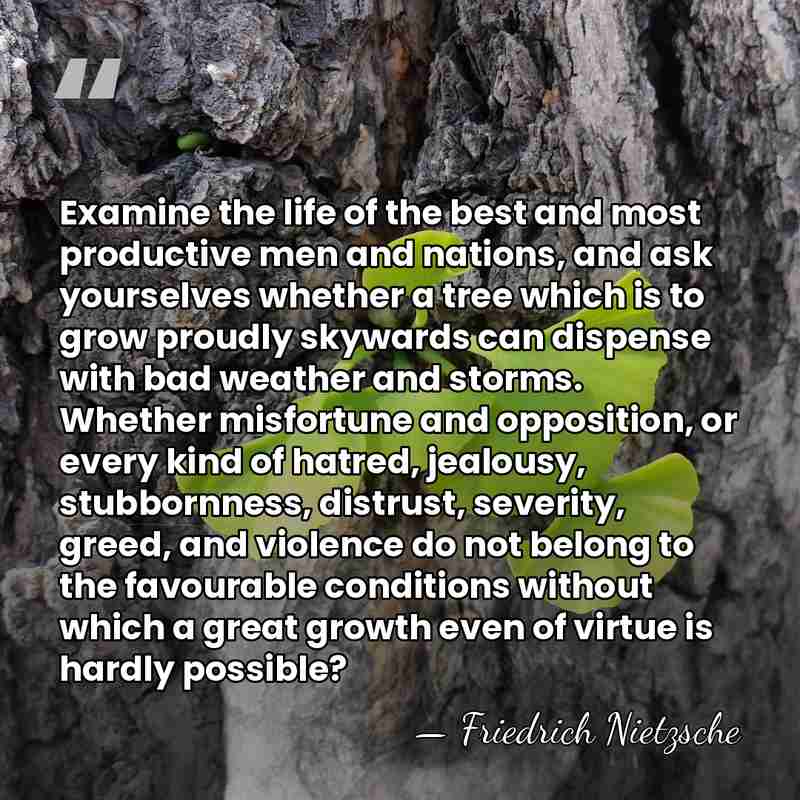 Examine the life of the best and most productive men and nations,&hellip; - Friedrich Nietzsche