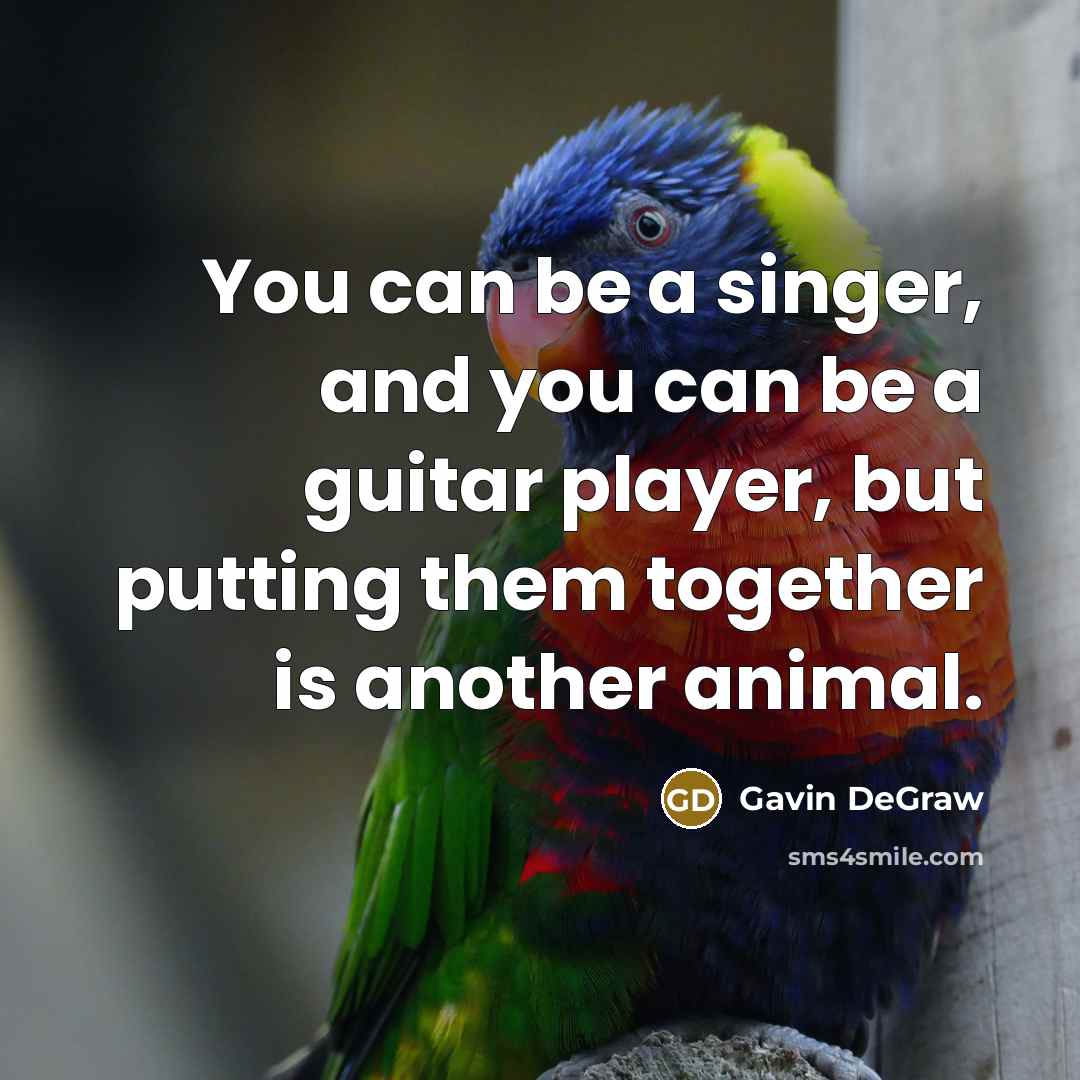 “You can be a singer, and you can be a…” quote by Gavin DeGraw
