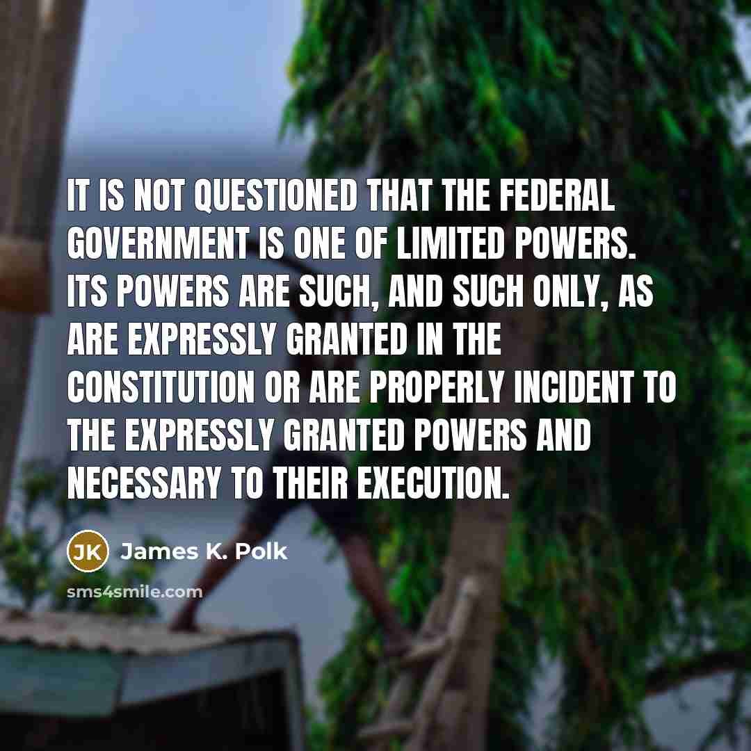 “It is not questioned that the Federal Government is one…” quote by James K. Polk