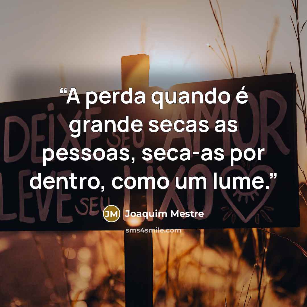 “A perda quando é grande secas as pessoas, seca-as por dentro, como um lume.” quote by Joaquim Mestre