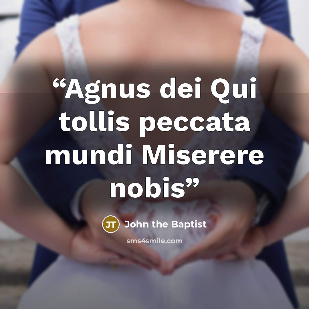 “Agnus dei Qui tollis peccata mundi Miserere nobis” quote by John the Baptist