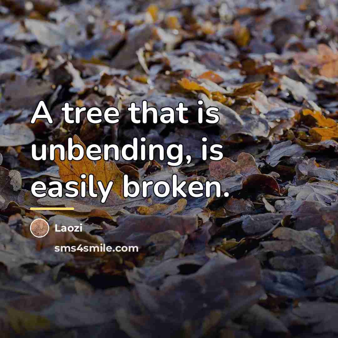 “A tree that is unbending, is easily broken.…” quote by Laozi