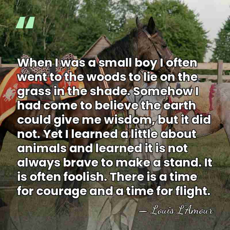 When I was a small boy I often went to the woods&hellip; - Louis L'Amour