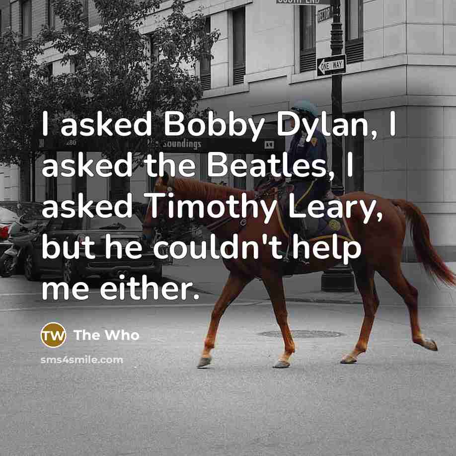 “I asked Bobby Dylan, I asked the Beatles, I asked Timothy Leary, but he couldn't help me either.” quote by The Who