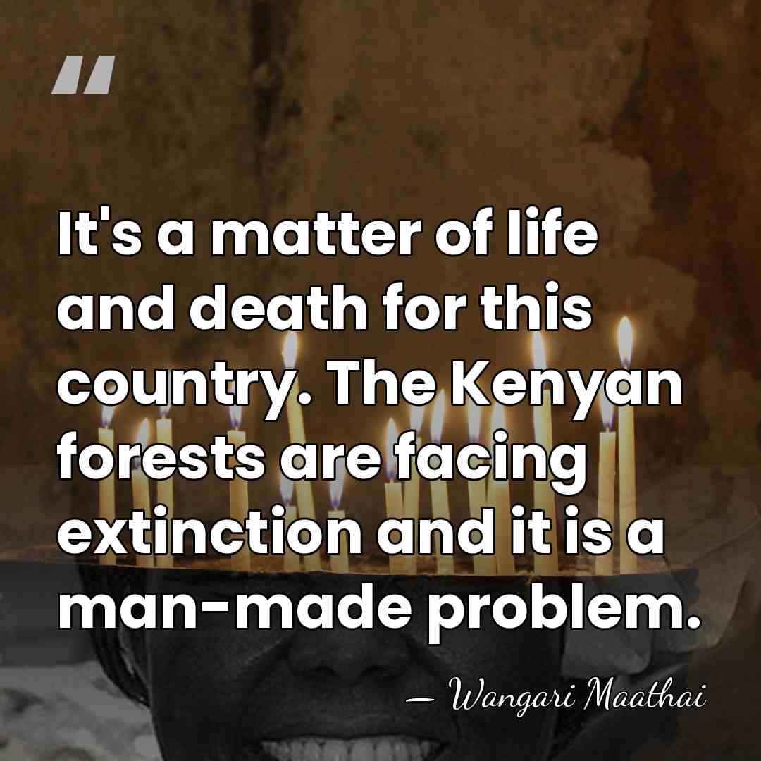 It's a matter of life and death for this country. The Kenyan&hellip; - Wangari Maathai