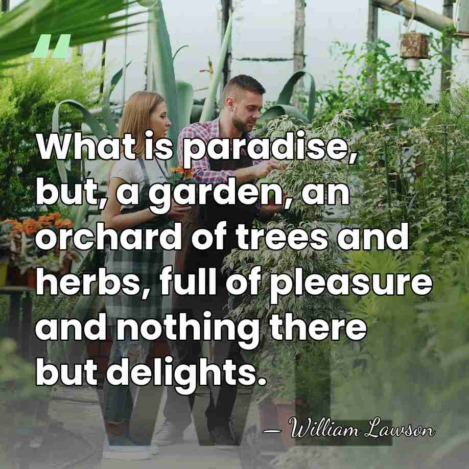 What is paradise, but, a garden, an orchard of trees and herbs,&hellip; - William Lawson