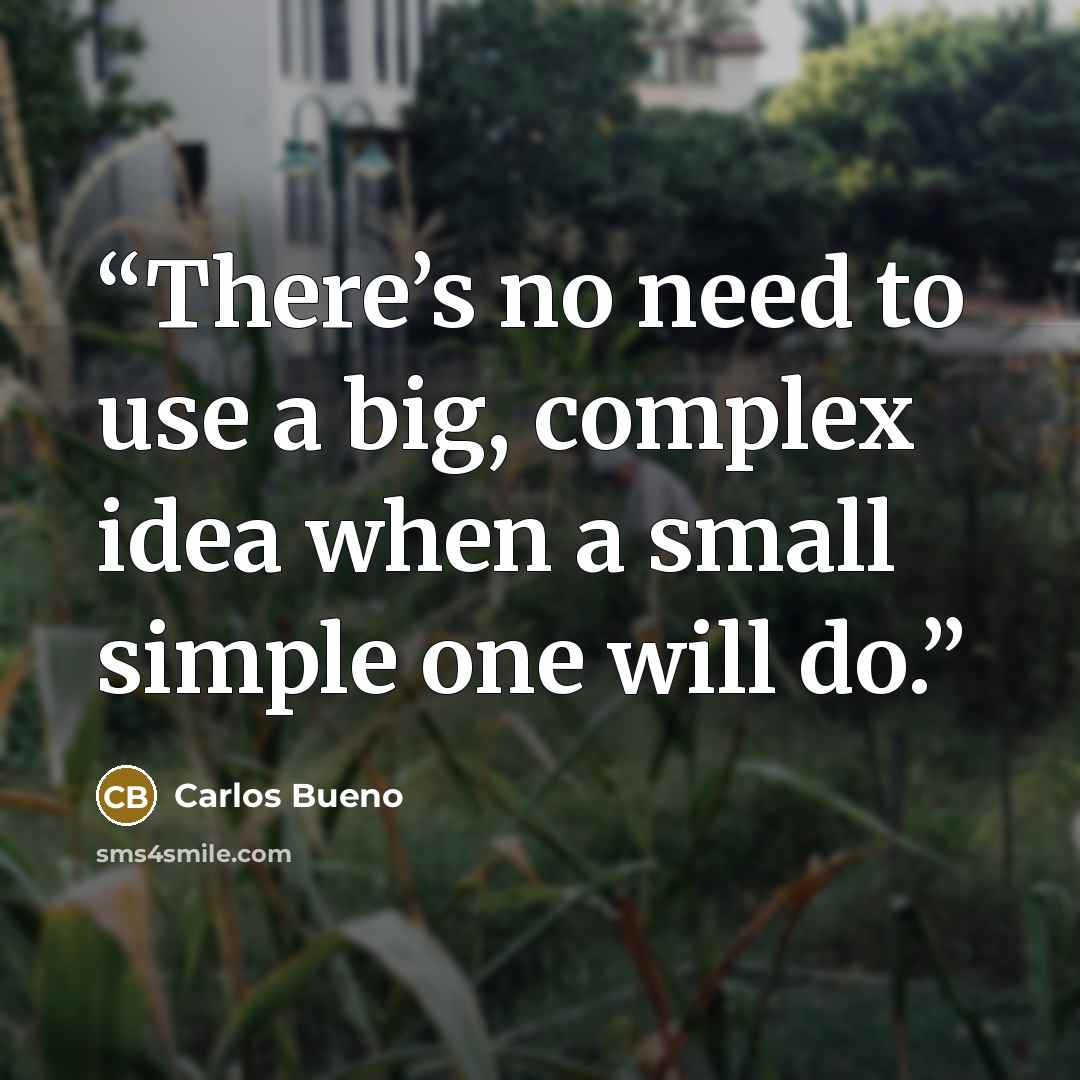 “There’s no need to use a big, complex idea when a small simple one will do.” quote by Carlos Bueno