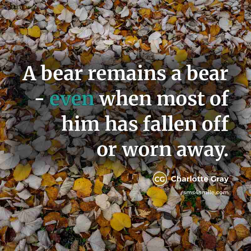“A bear remains a bear - even when most of…” quote by Charlotte Gray