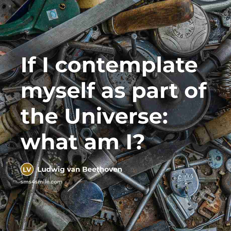 “If I contemplate myself as part of the Universe: what…” quote by Ludwig van Beethoven
