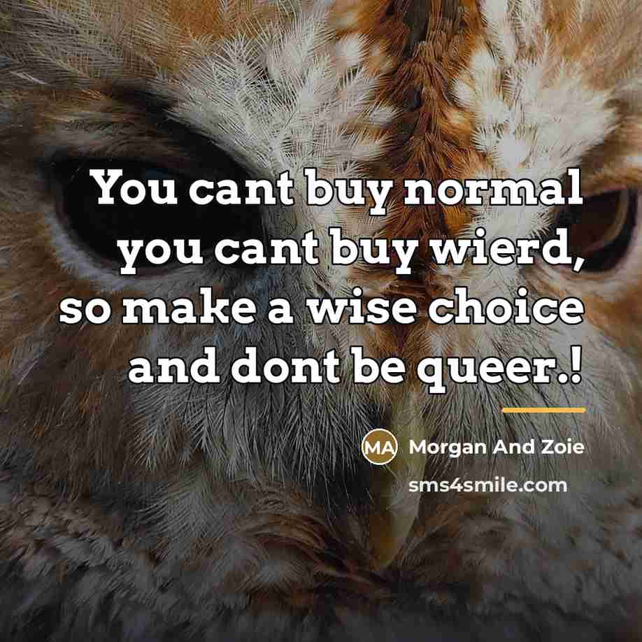 “You cant buy normal you cant buy wierd, so make…” quote by Morgan And Zoie