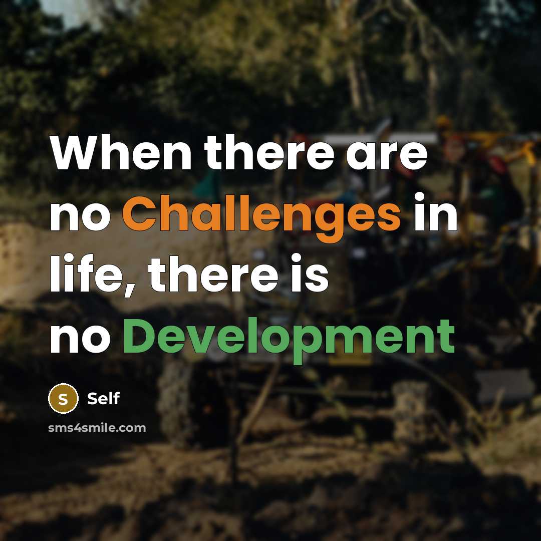“When there are no Challenges in life, there is no Development” quote by Self