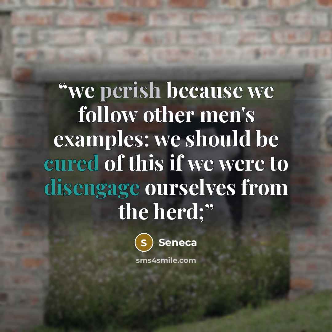 “we perish because we follow other men's examples: we should be cured of this if we were to disengage ourselves from the herd;” quote by Seneca