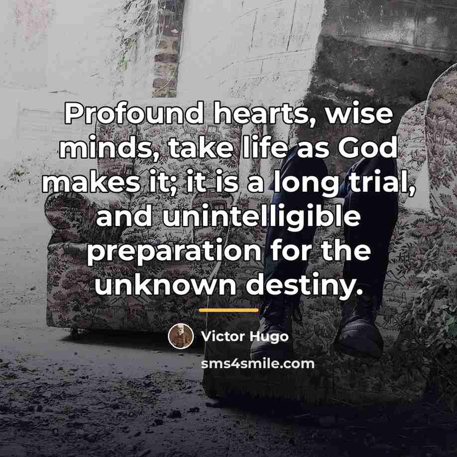 “Profound hearts, wise minds, take life as God makes it;…” quote by Victor Hugo
