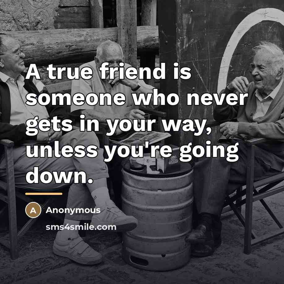 “A true friend is someone who never gets in your…” quote by Anonymous