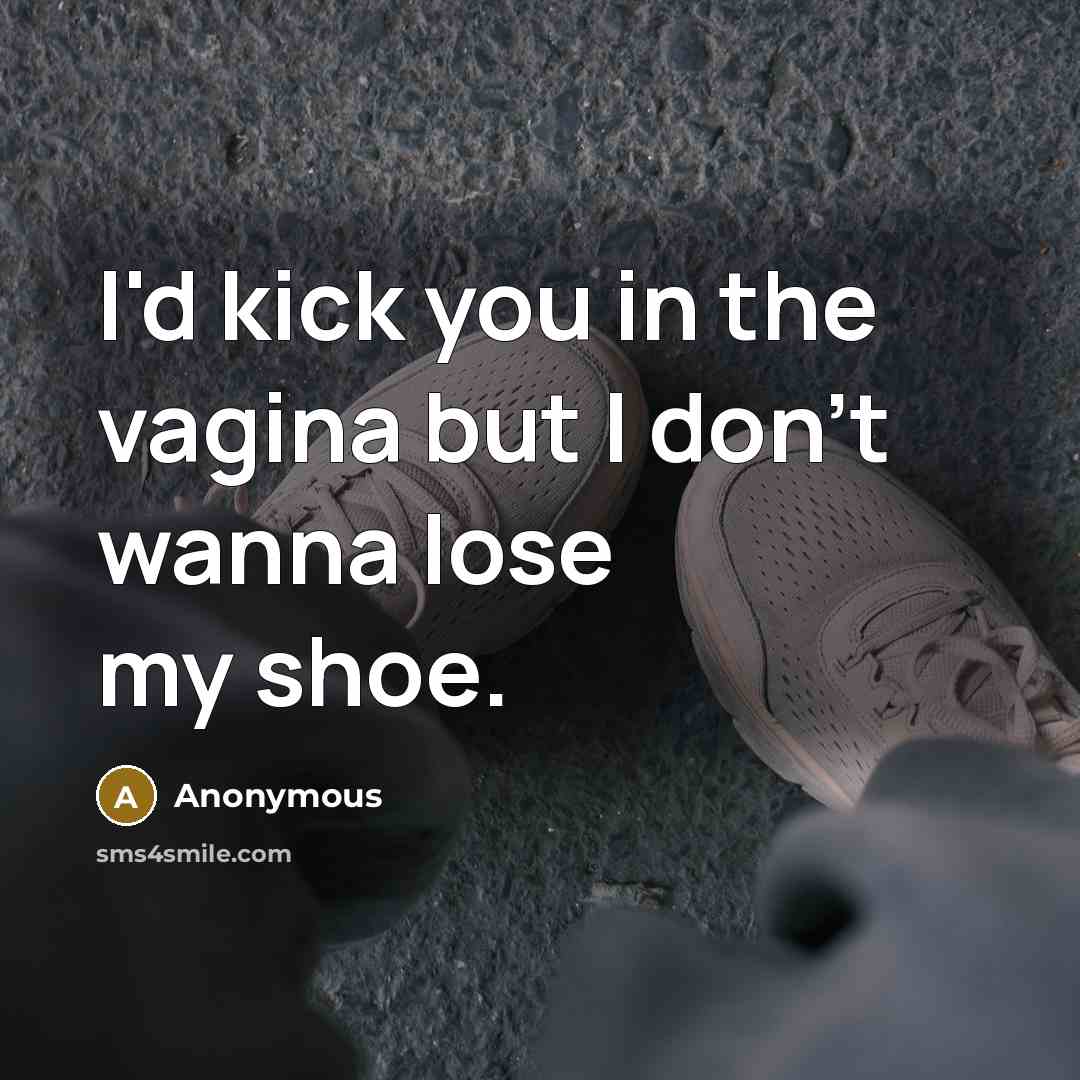 “I'd kick you in the vagina but I don't wanna…” quote by Anonymous