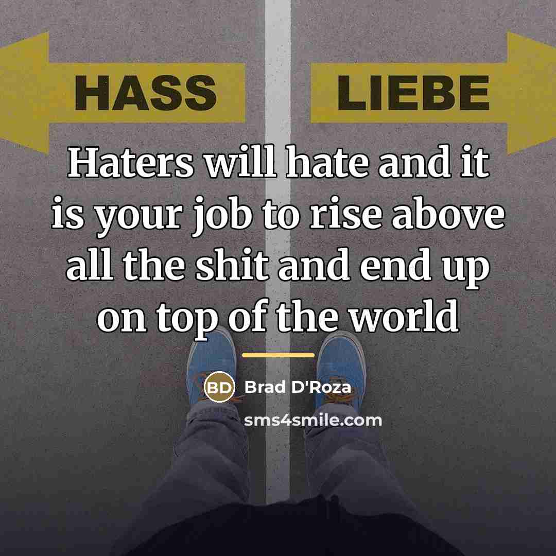 “Haters will hate and it is your job to rise…” quote by Brad D'Roza