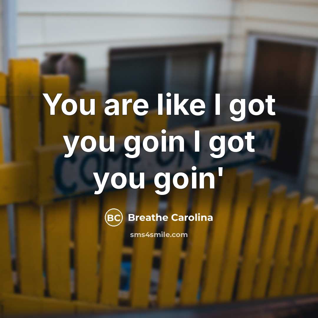 “You are like I got you goin I got you goin'” quote by Breathe Carolina