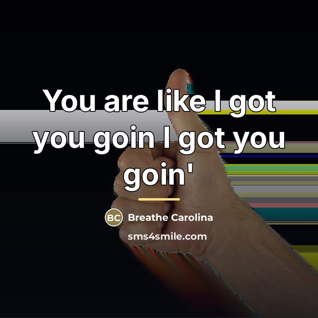 “You are like I got you goin I got you…” quote by Breathe Carolina