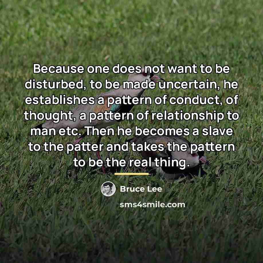 “Because one does not want to be disturbed, to be…” quote by Bruce Lee