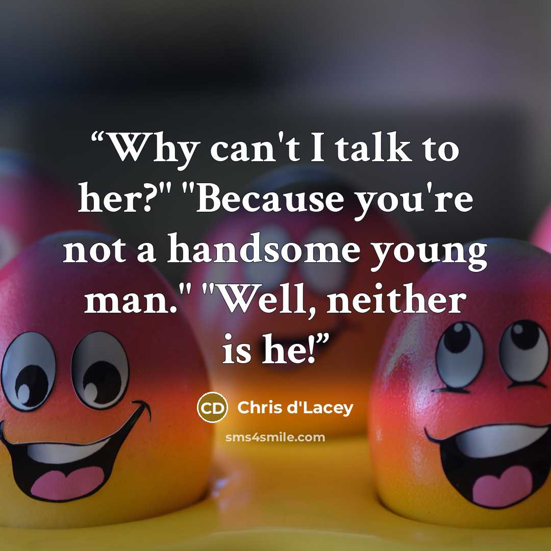 “Why can't I talk to her?" "Because you're not a handsome young man." "Well, neither is he!” quote by Chris d'Lacey