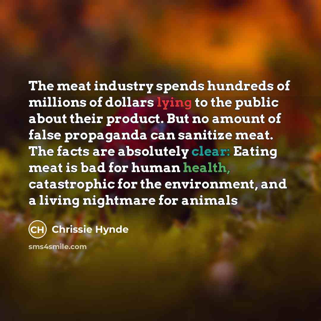“The meat industry spends hundreds of millions of dollars lying…” quote by Chrissie Hynde