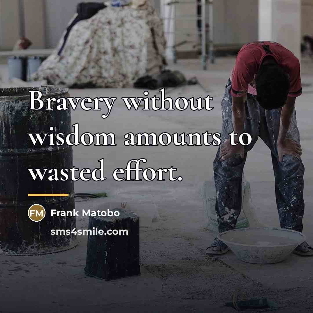 “Bravery without wisdom amounts to wasted effort.…” quote by Frank Matobo
