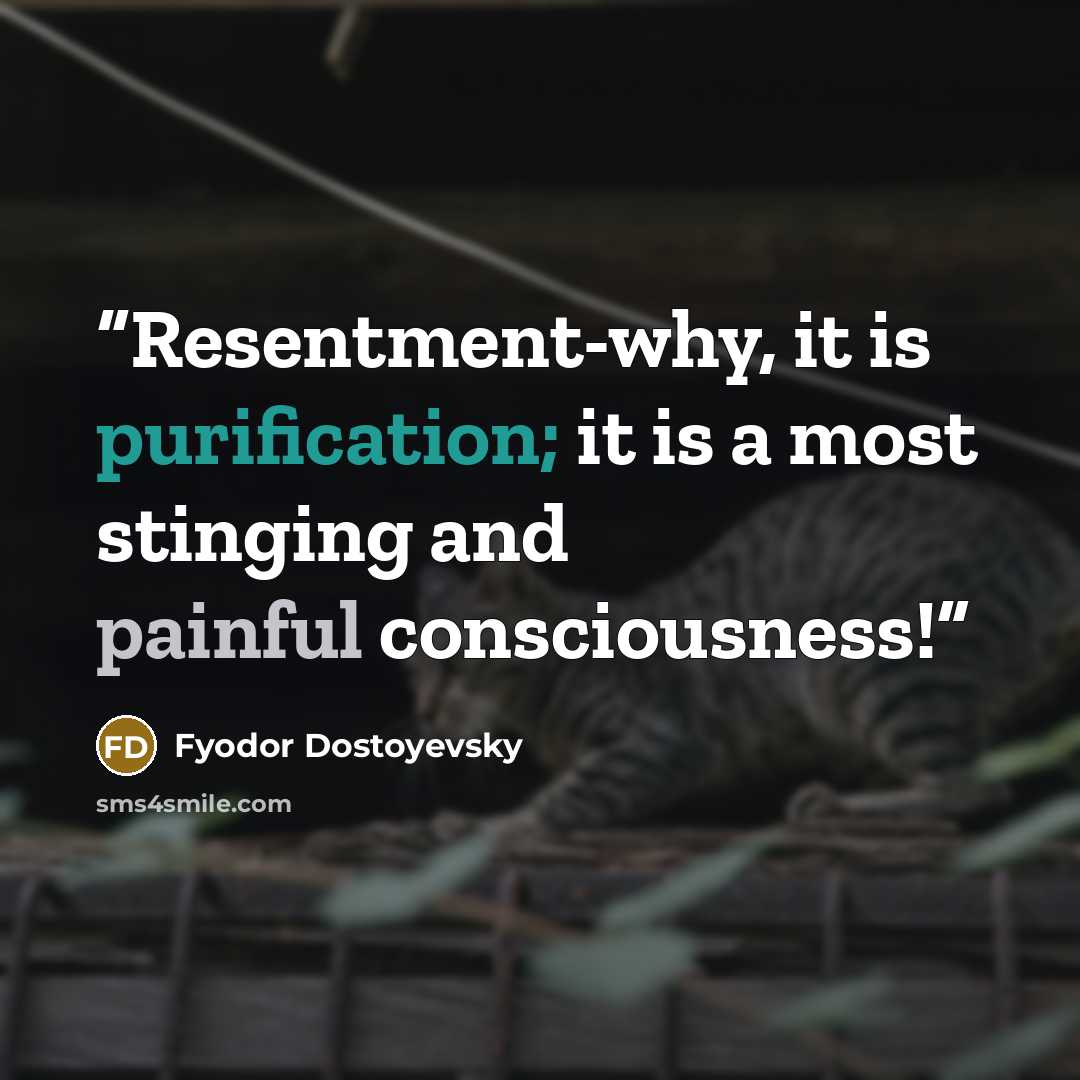 “Resentment-why, it is purification; it is a most stinging and painful consciousness!” quote by Fyodor Dostoyevsky