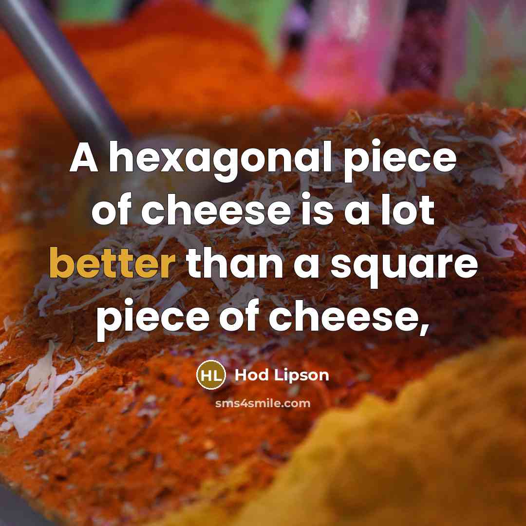 “A hexagonal piece of cheese is a lot better than…” quote by Hod Lipson