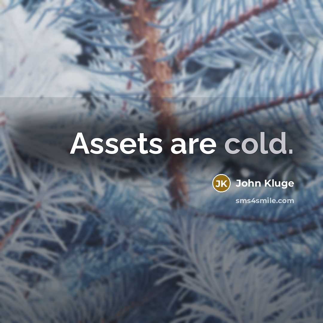 “Assets are cold.…” quote by John Kluge
