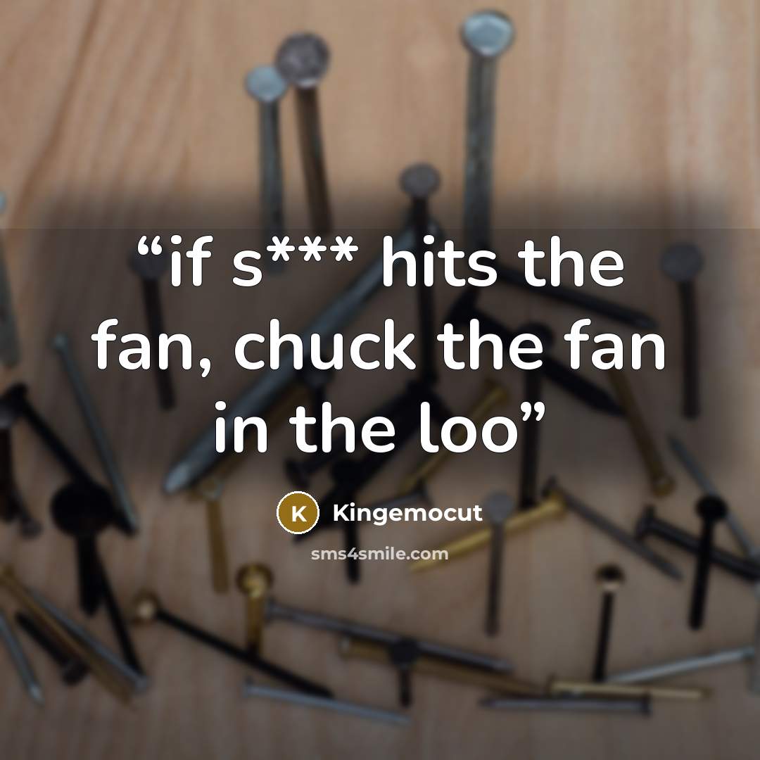 “if s*** hits the fan, chuck the fan in the loo” quote by Kingemocut