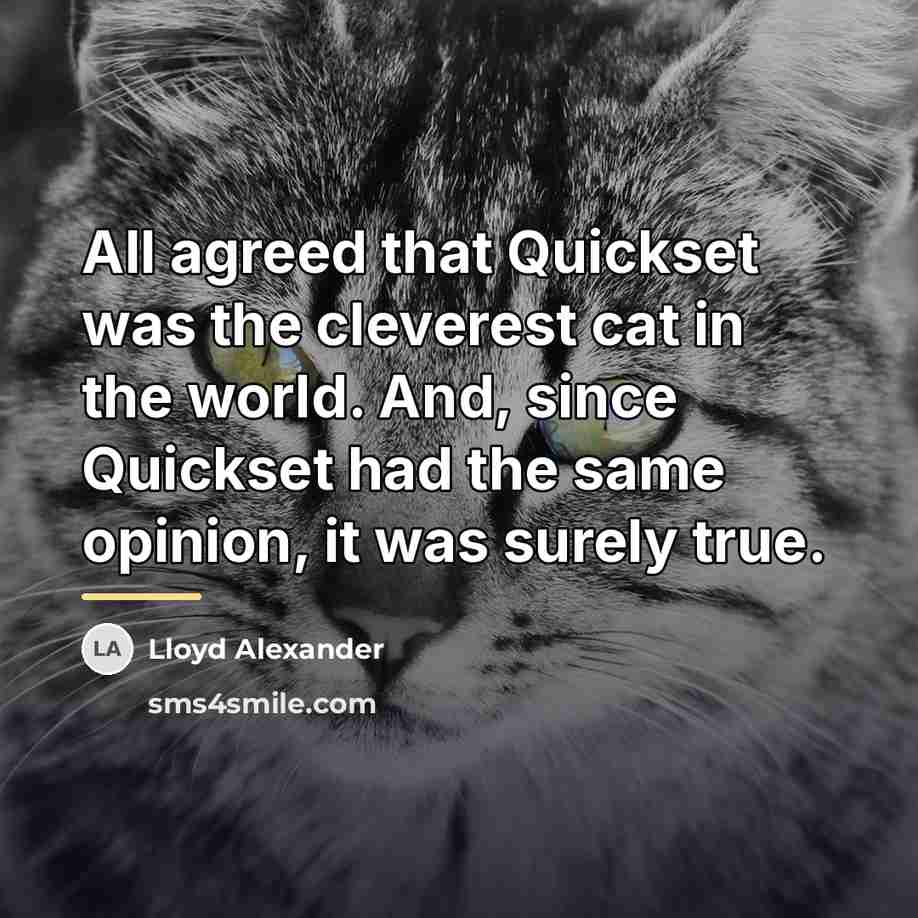 “All agreed that Quickset was the cleverest cat in the…” quote by Lloyd Alexander