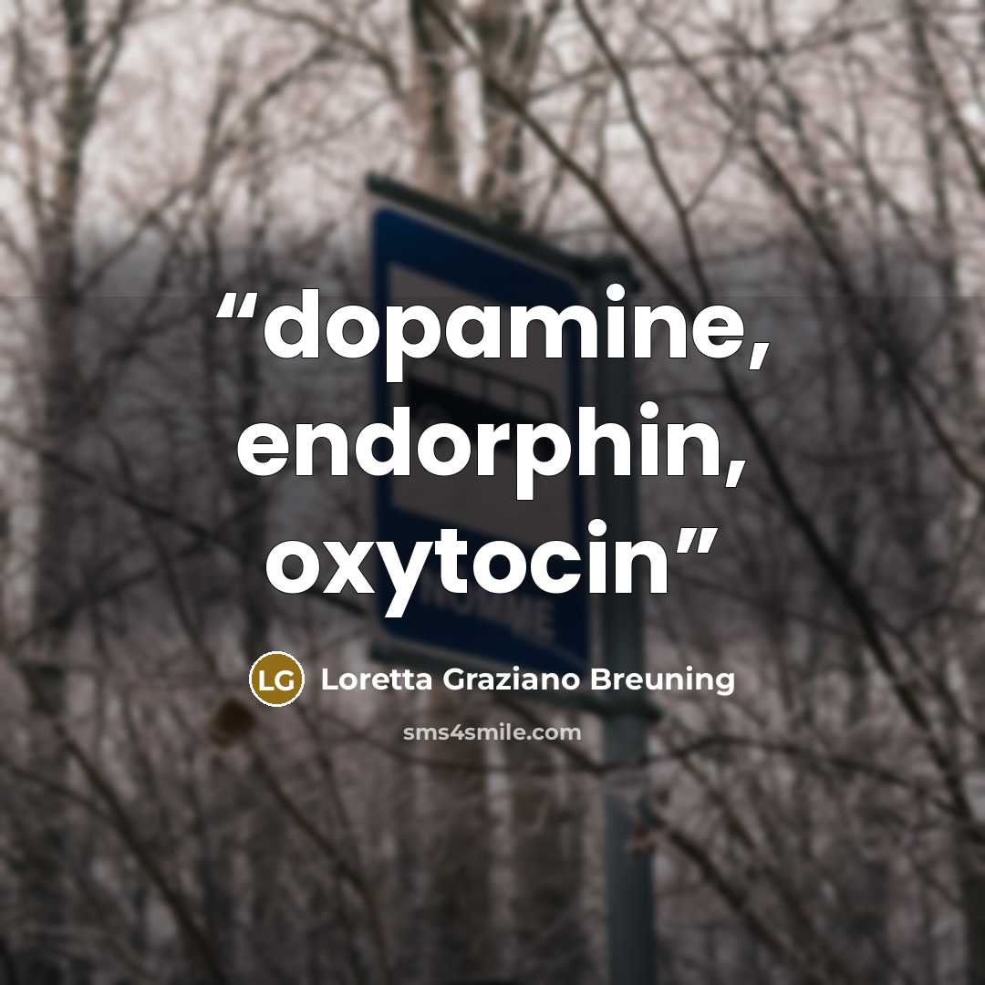 “dopamine, endorphin, oxytocin” quote by Loretta Graziano Breuning