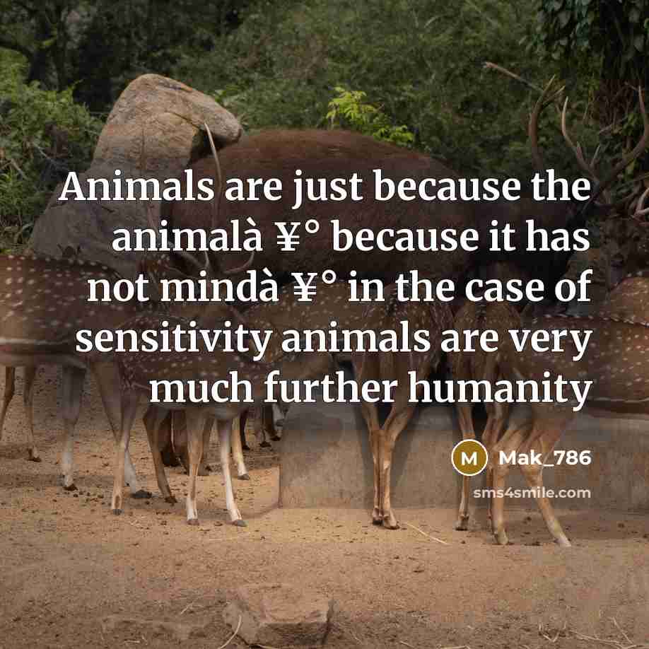 “Animals are just because the animalà ¥° because it has…” quote by Mak_786