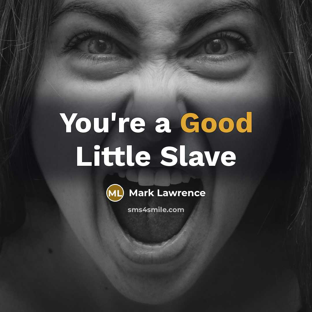 “You're a Good Little Slave…” quote by Mark Lawrence