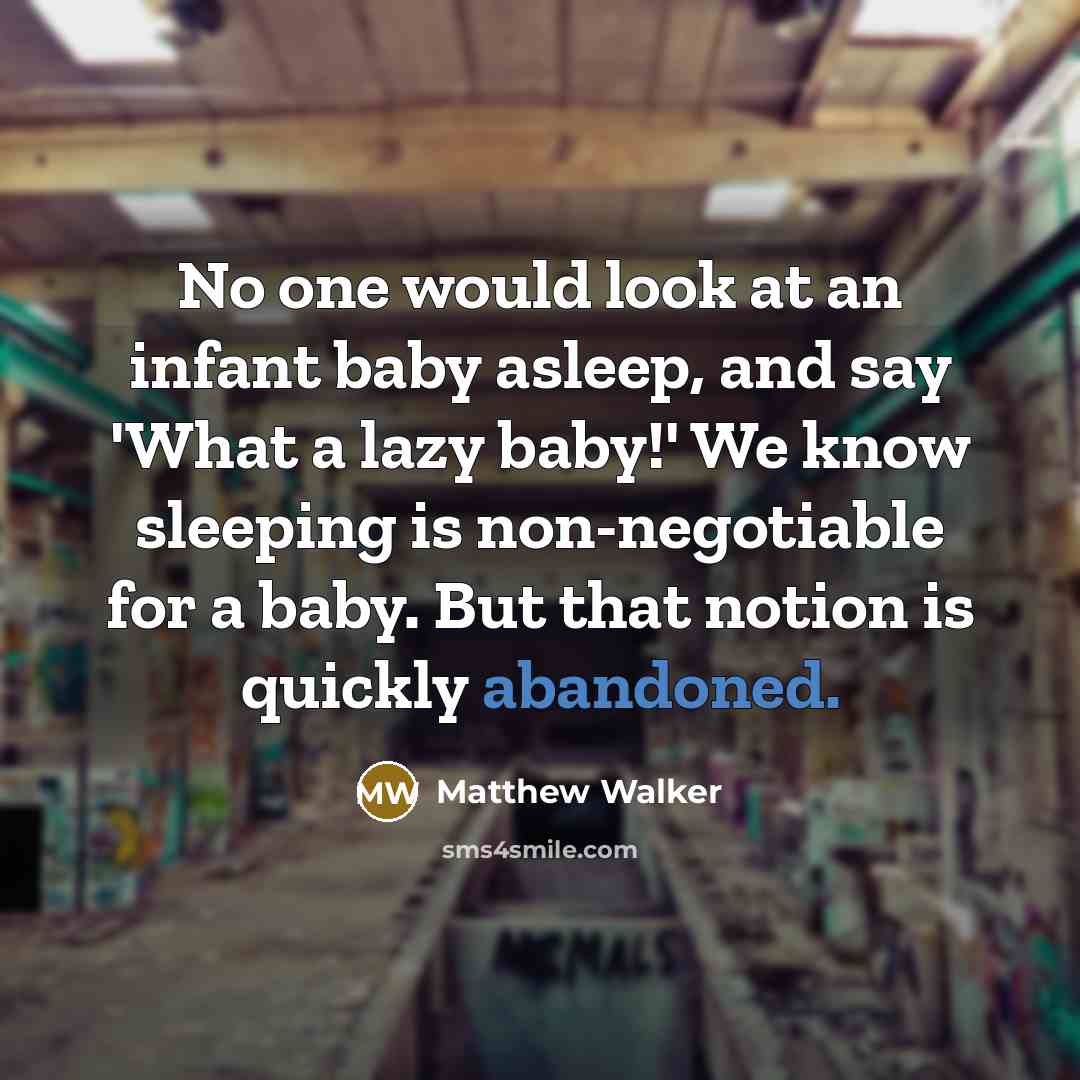 “No one would look at an infant baby asleep, and…” quote by Matthew Walker