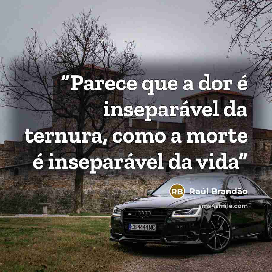 “Parece que a dor é inseparável da ternura, como a morte é inseparável da vida” quote by Raúl Brandão