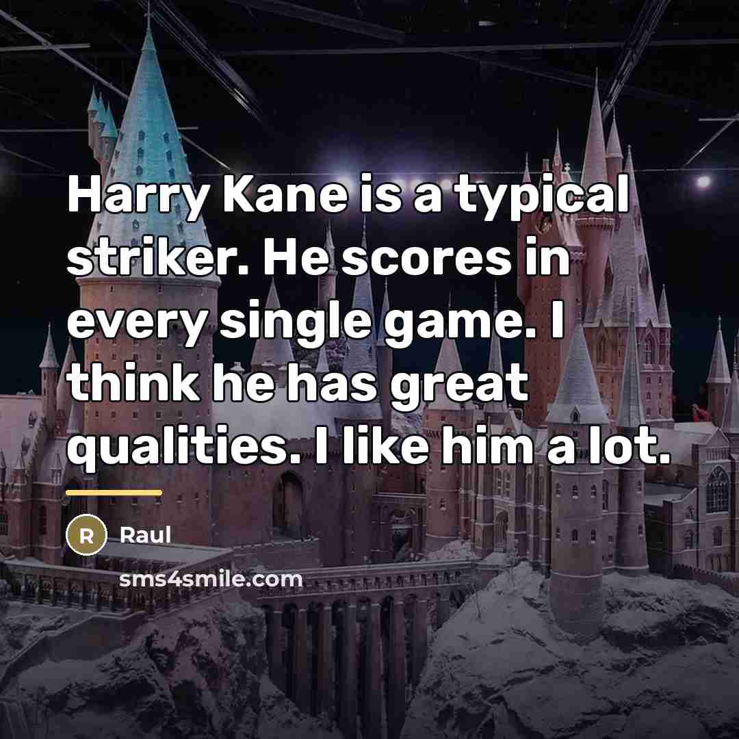 “Harry Kane is a typical striker. He scores in every…” quote by Raul