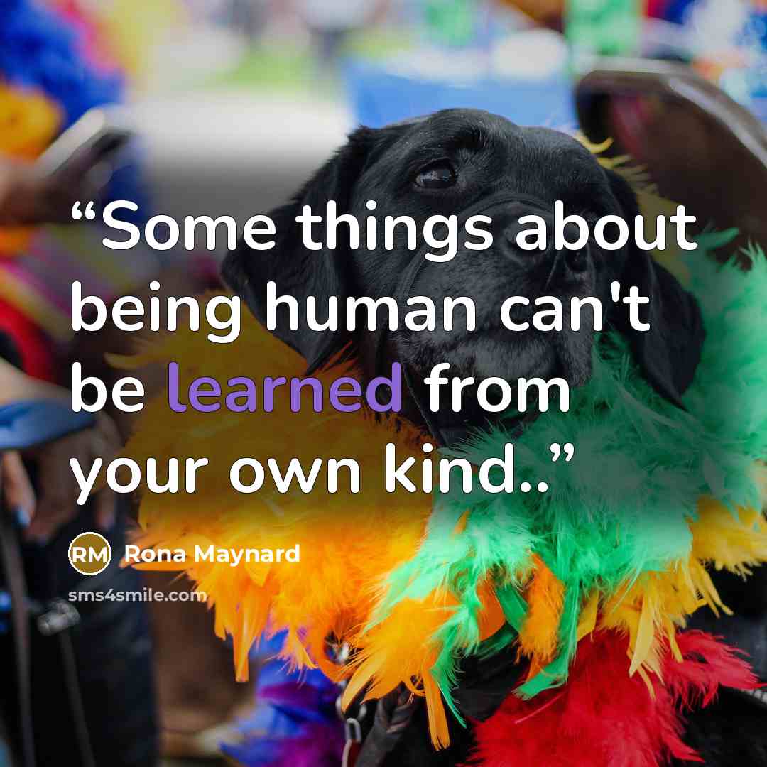 “Some things about being human can't be learned from your own kind..” quote by Rona Maynard