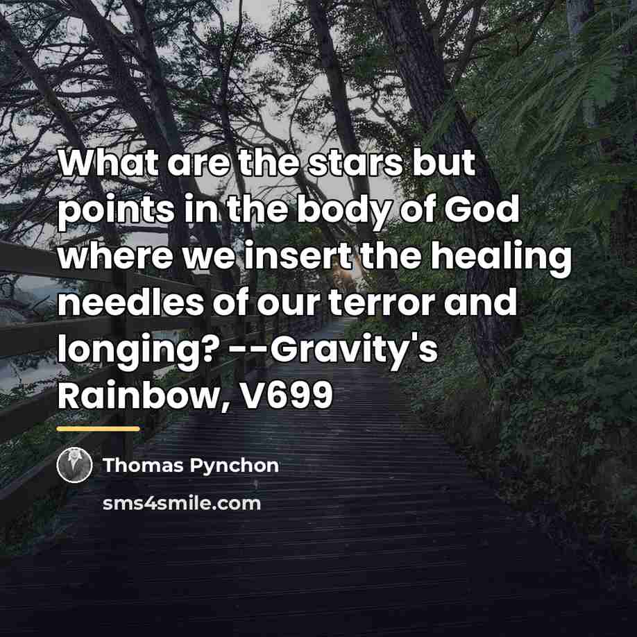 “What are the stars but points in the body of…” quote by Thomas Pynchon