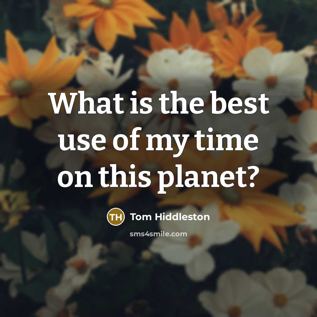 “What is the best use of my time on this…” quote by Tom Hiddleston