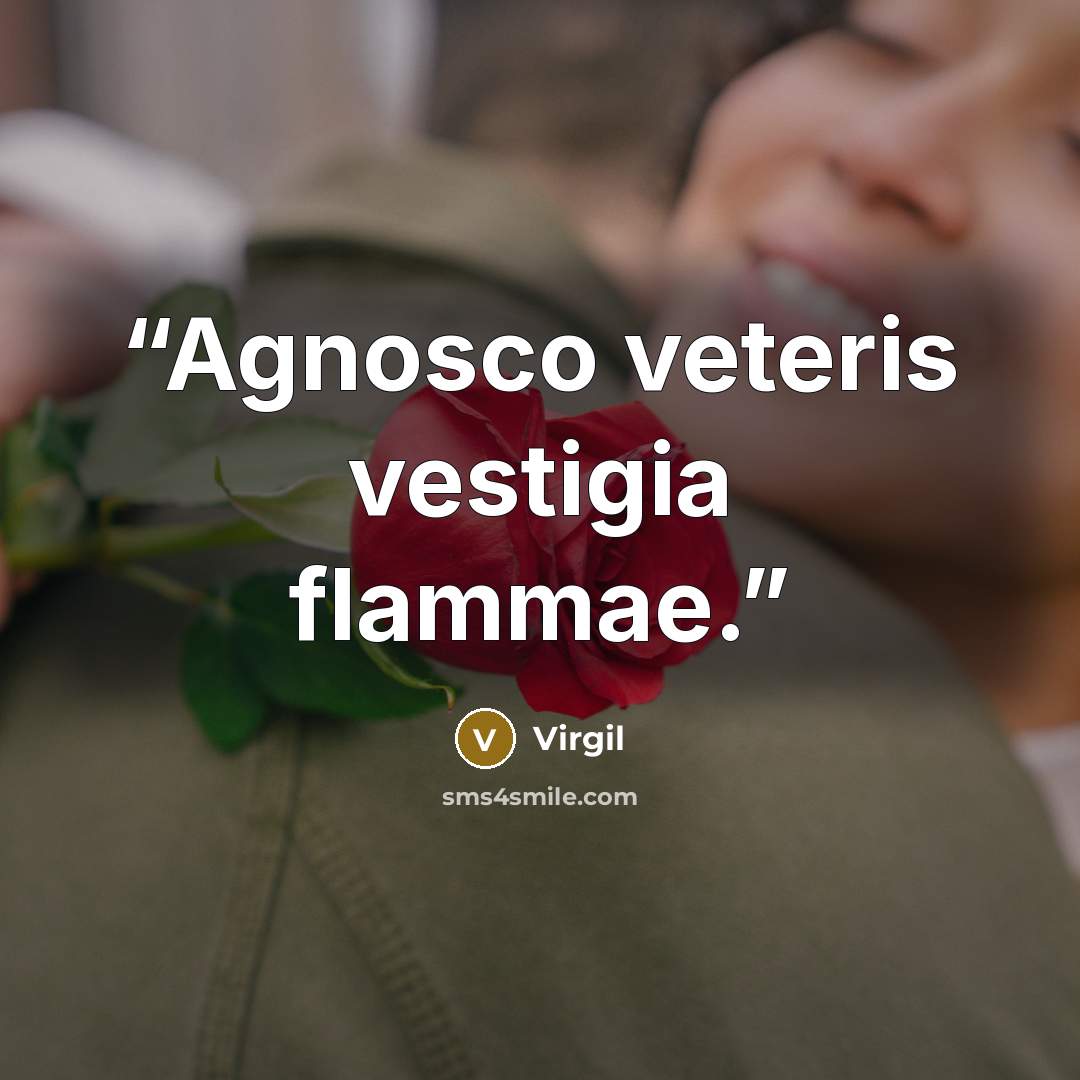 “Agnosco veteris vestigia flammae.” quote by Virgil