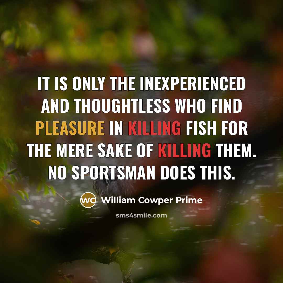 “It is only the inexperienced and thoughtless who find pleasure…” quote by William Cowper Prime