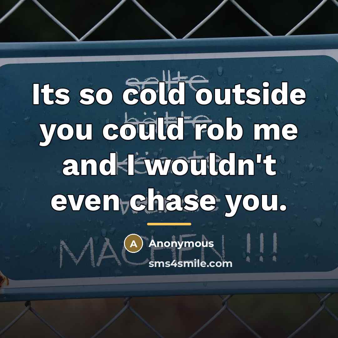 “Its so cold outside you could rob me and I…” quote by Anonymous