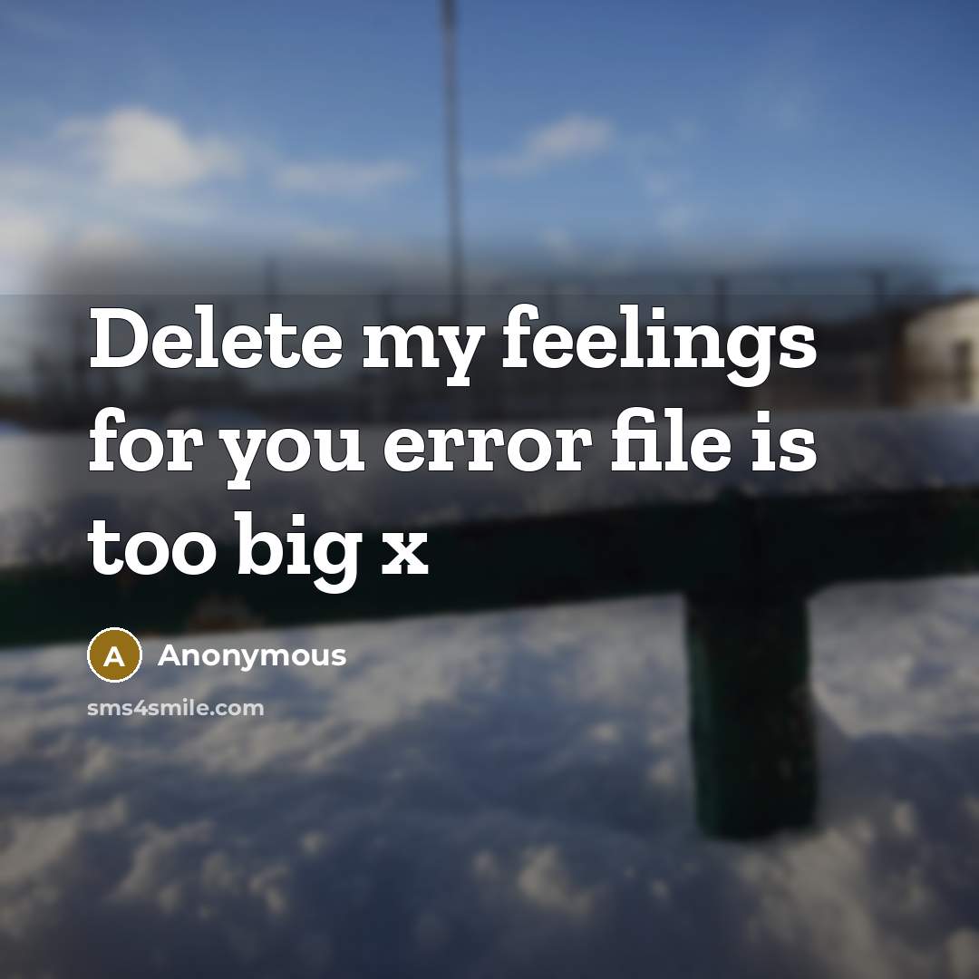 “Delete my feelings for you error file is too big x” quote by Anonymous
