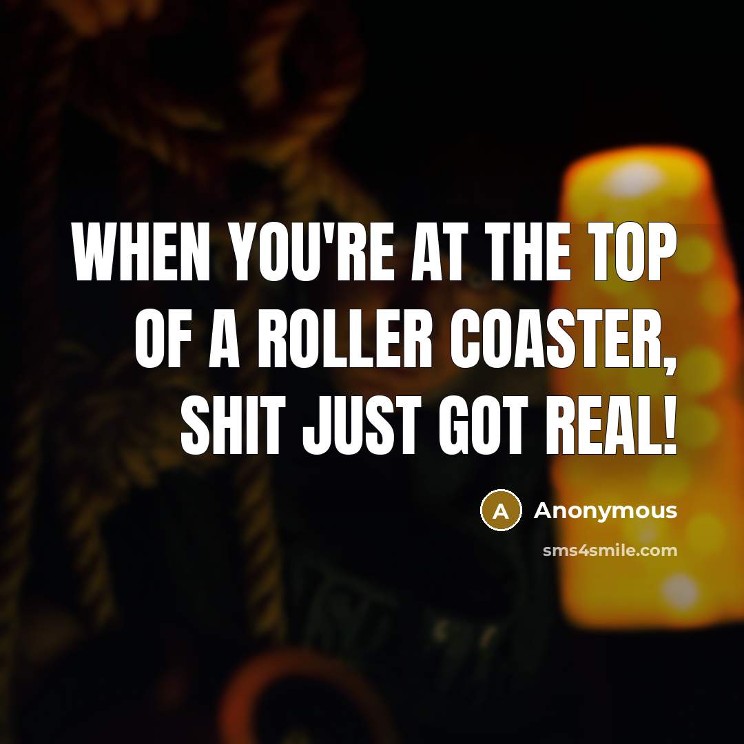 “When you're at the top of a roller coaster, SHIT…” quote by Anonymous