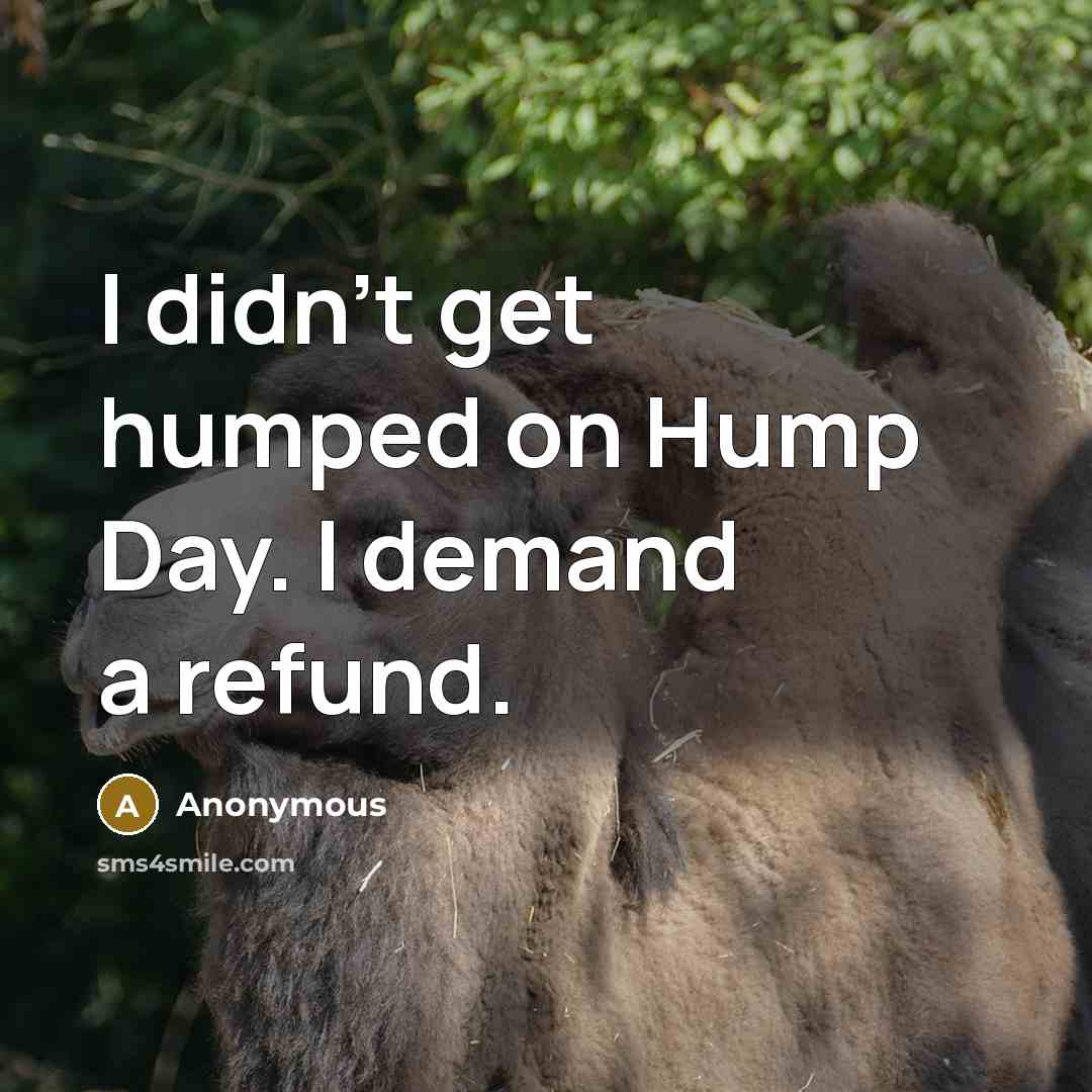 “I didn't get humped on Hump Day. I demand a…” quote by Anonymous